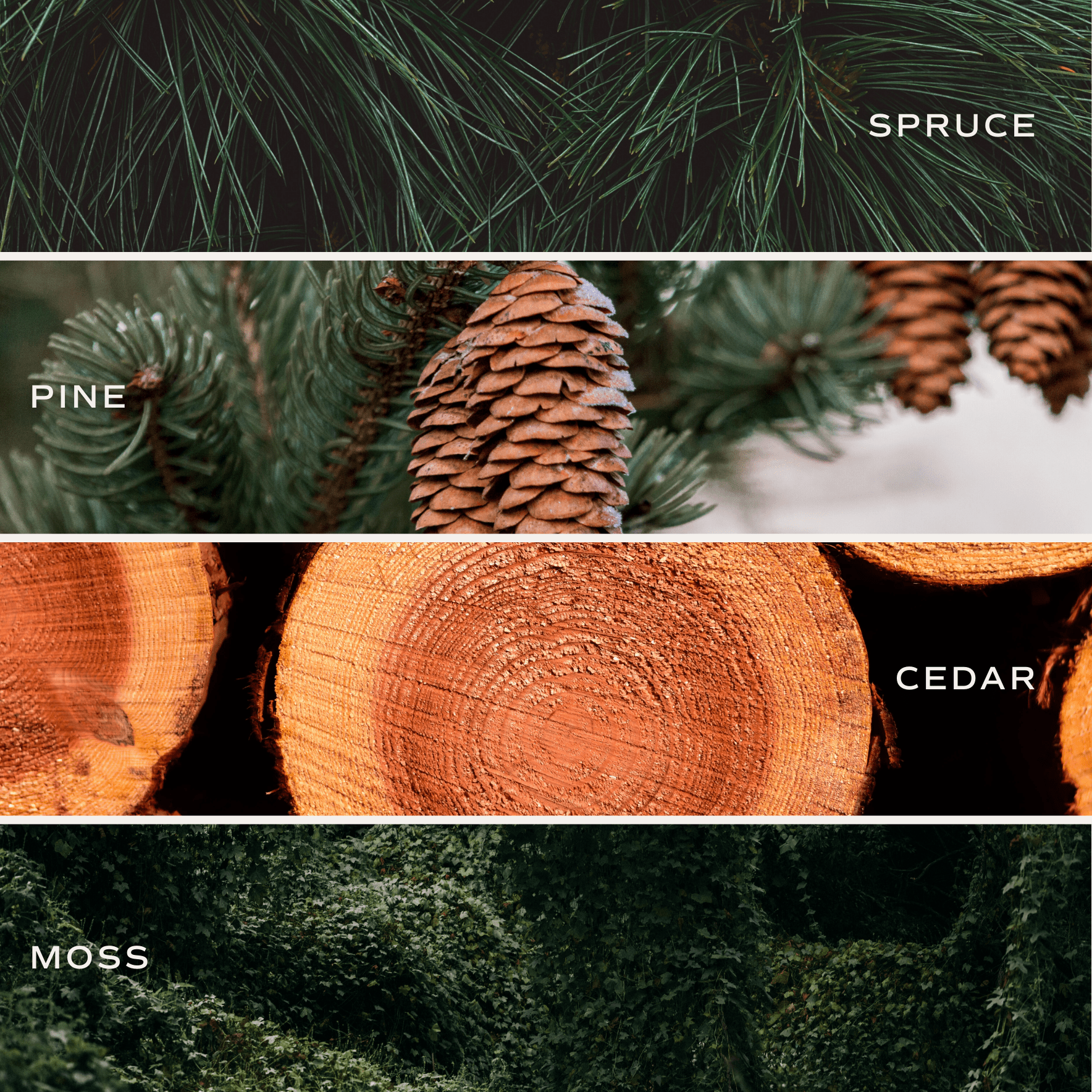 Christmas Tree Farm Candle - Green Matte Jar, 15 oz - view 3