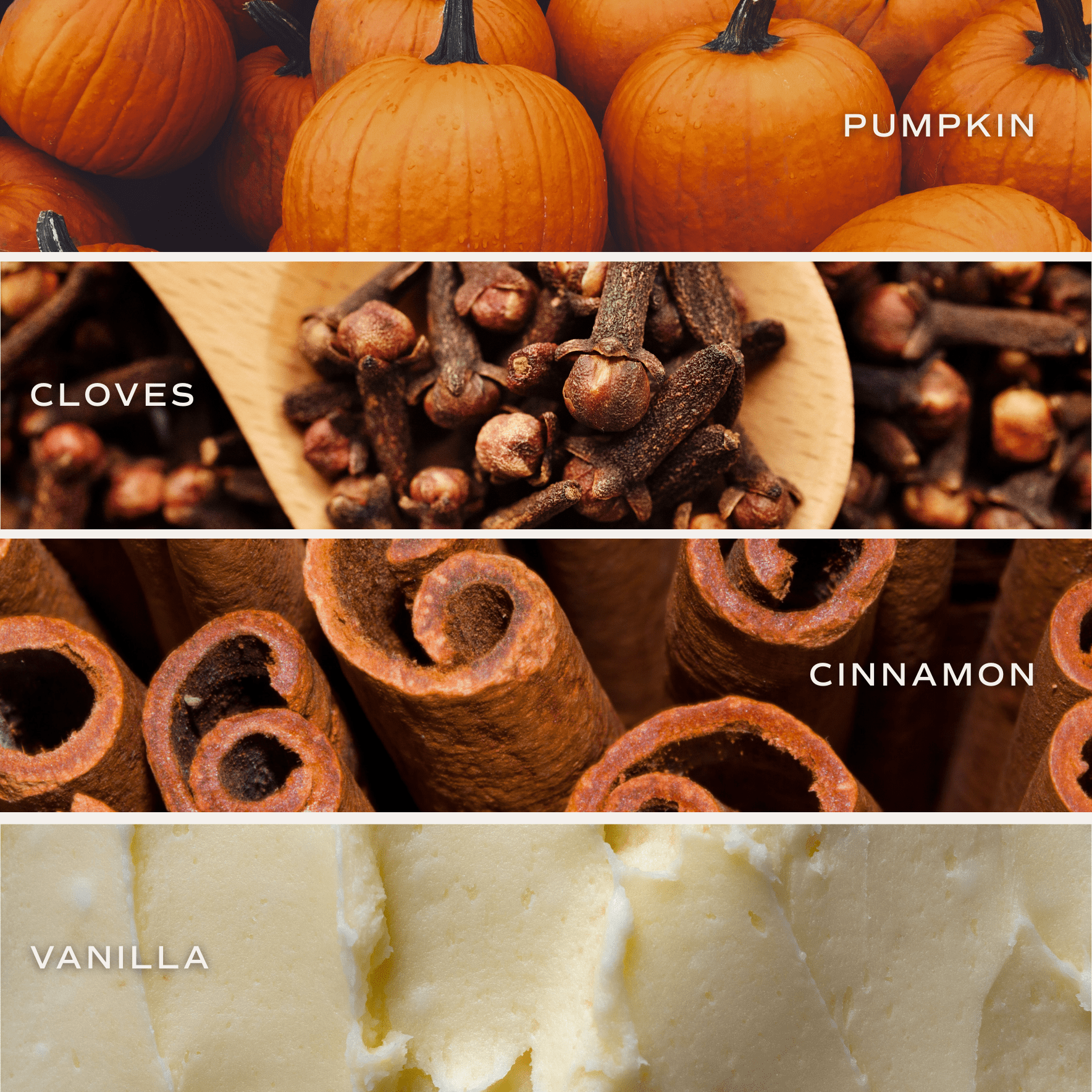 Pumpkin Spice Candle - Ceramic Pumpkin Jar, 8 oz - view 3