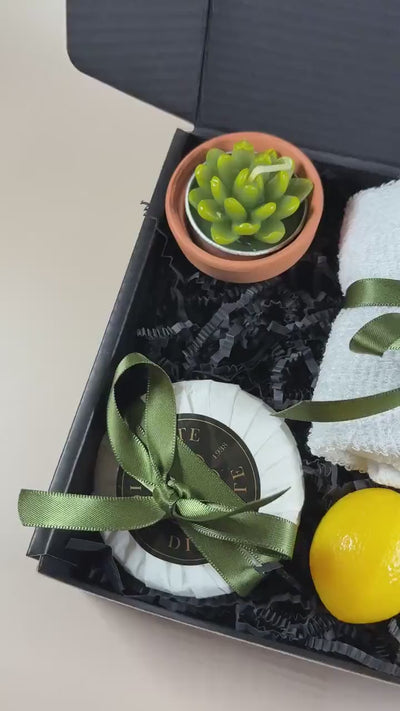 Succulent Gift Box: Thinking of You Care Package with Handmade Soaps